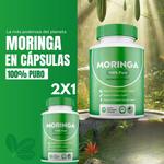 2x1 MORINGA PURE 100%